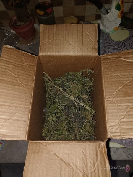 У жителя Иловлинского района изъято более 3,5 кг марихуаны